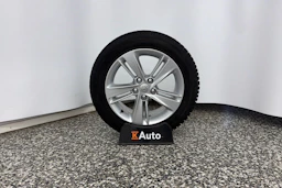 Sininen Opel Insignia 2019 kuva 10.