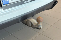 Valkoinen Porsche Cayenne 2022 kuva 15.