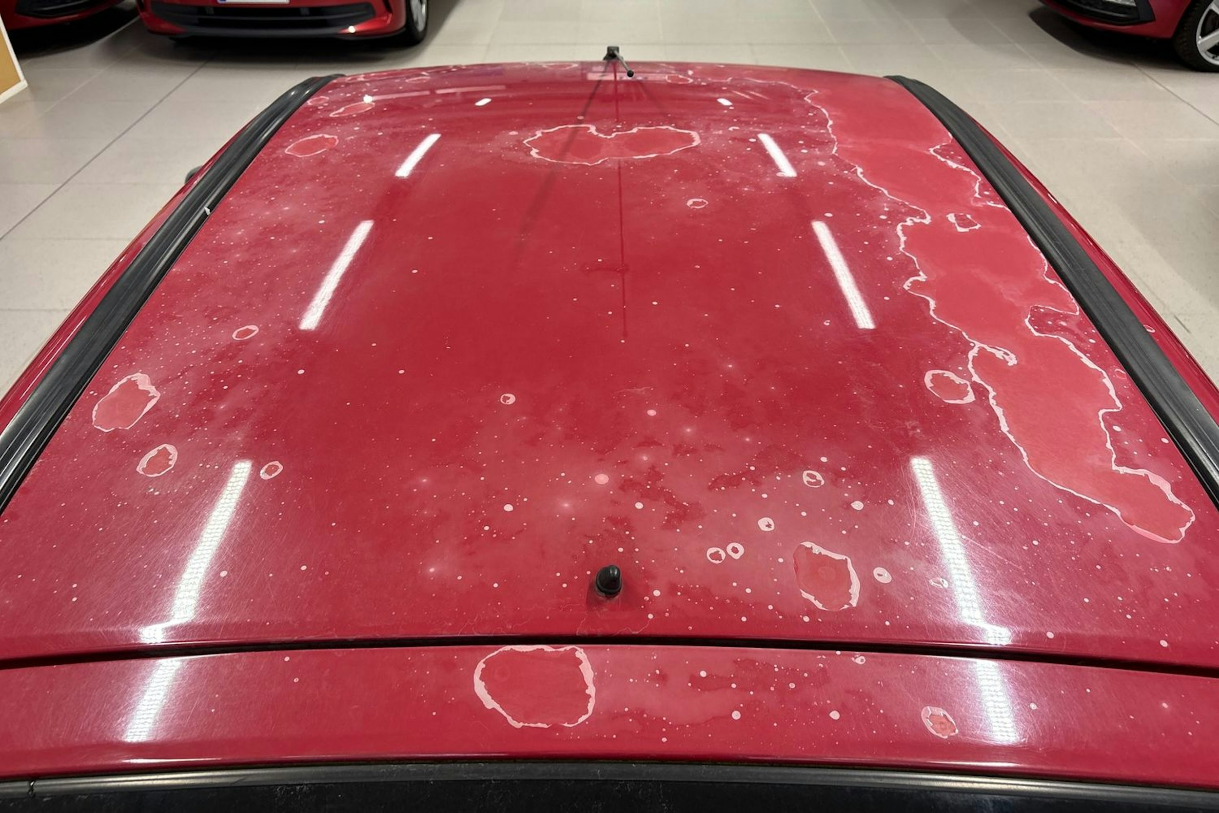 Punainen Renault MEGANE 2001 kuva 20.