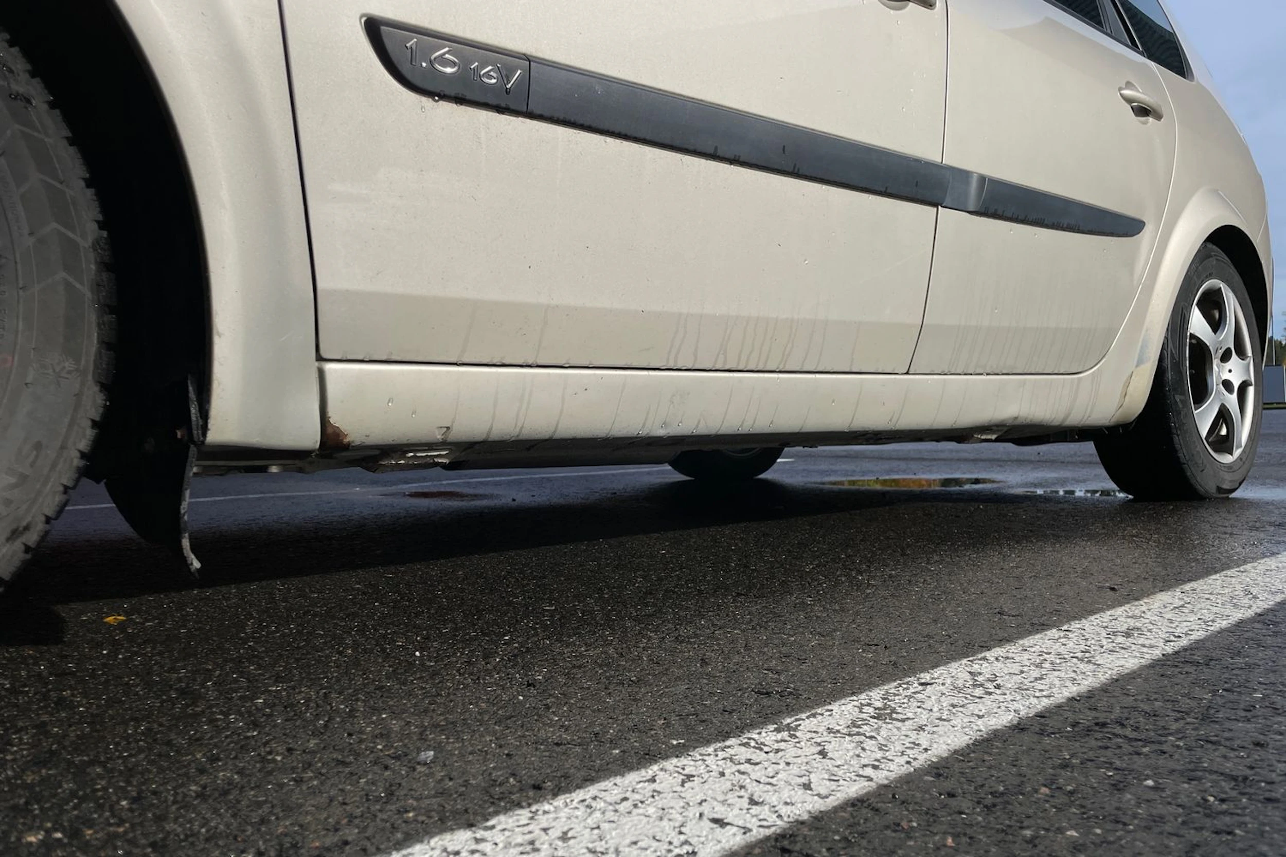 Ruskea (beige) Renault SCENIC 2006 kuva 27.