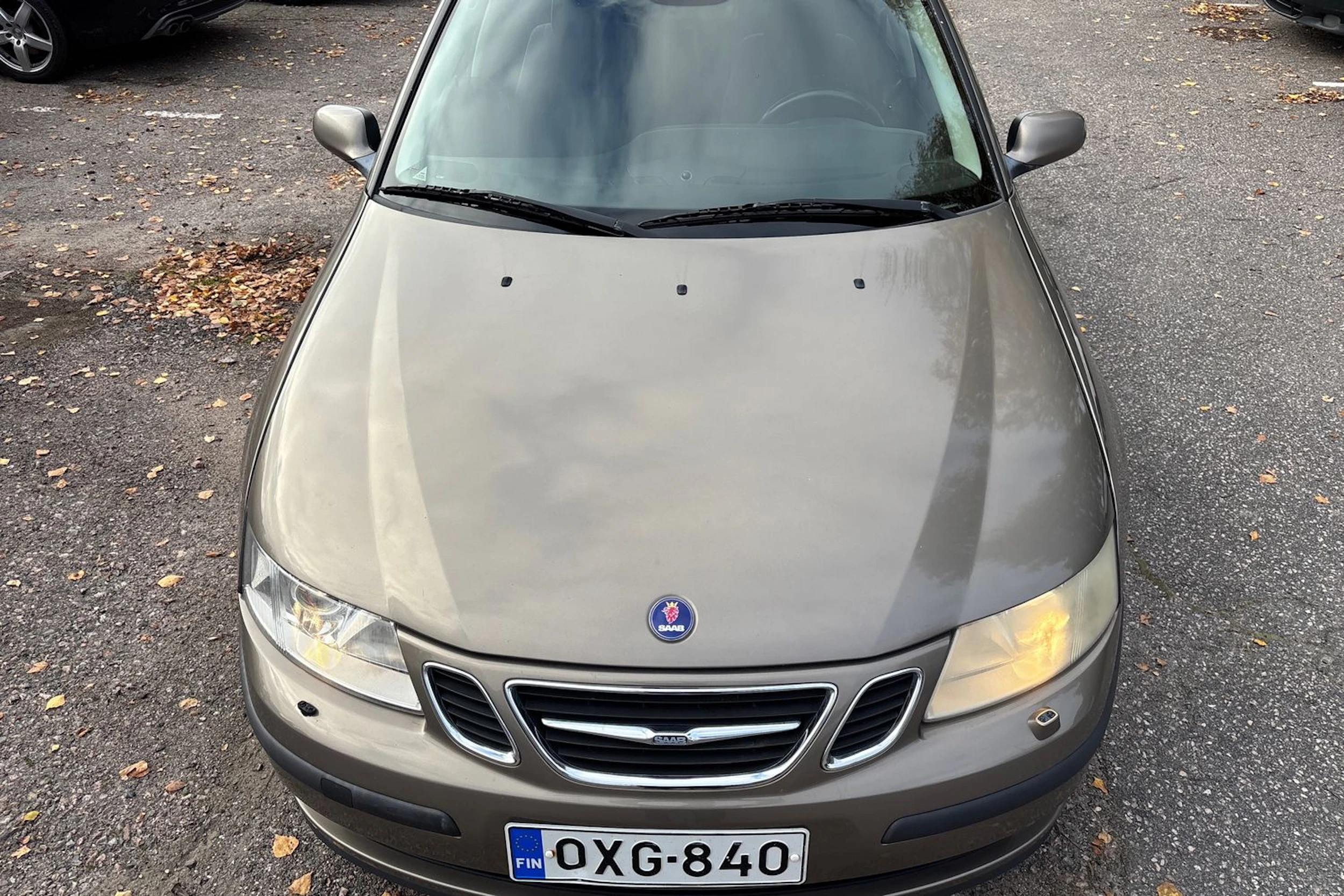Ruskea (beige) Saab 9-3 2004 kuva 20.