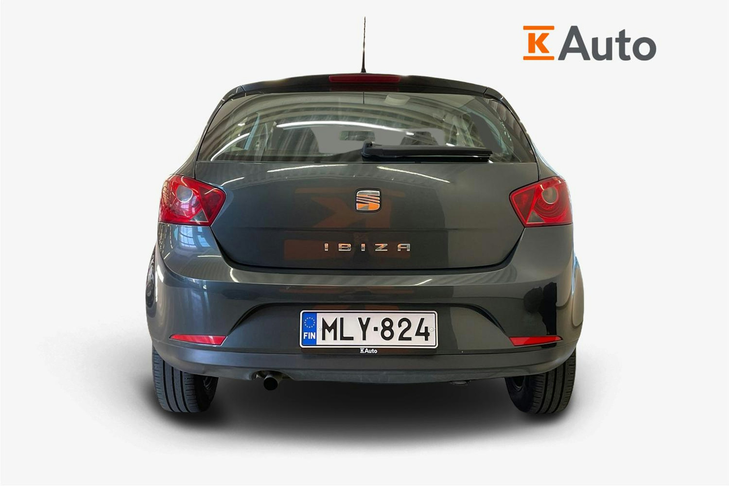 Harmaa SEAT IBIZA 2009 kuva 3.