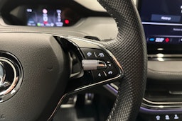 hopea Skoda Enyaq 2022 kuva 12.