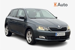 Harmaa Skoda FABIA 2018 kuva 1.