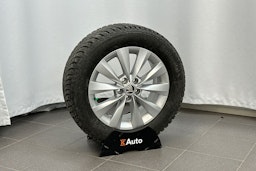 sininen Skoda Kamiq 2020 kuva 14.