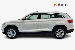 valkoinen Skoda Kodiaq 2019 kuva 5.
