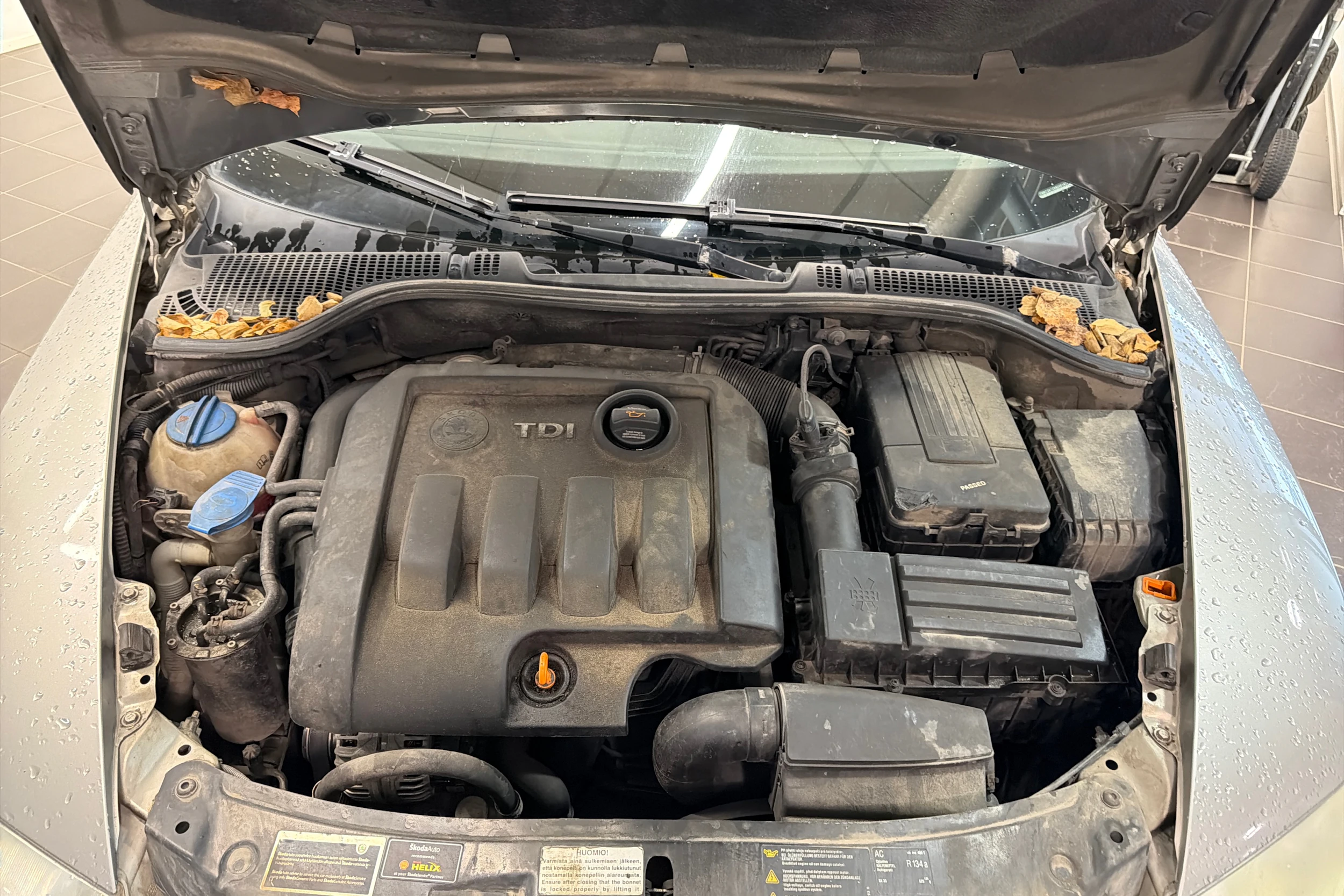 Ruskea (beige) Skoda OCTAVIA 2007 kuva 42.