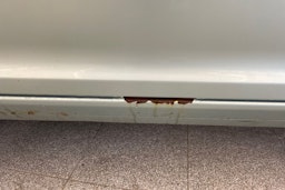 vihreä Skoda Octavia 2009 kuva 35.