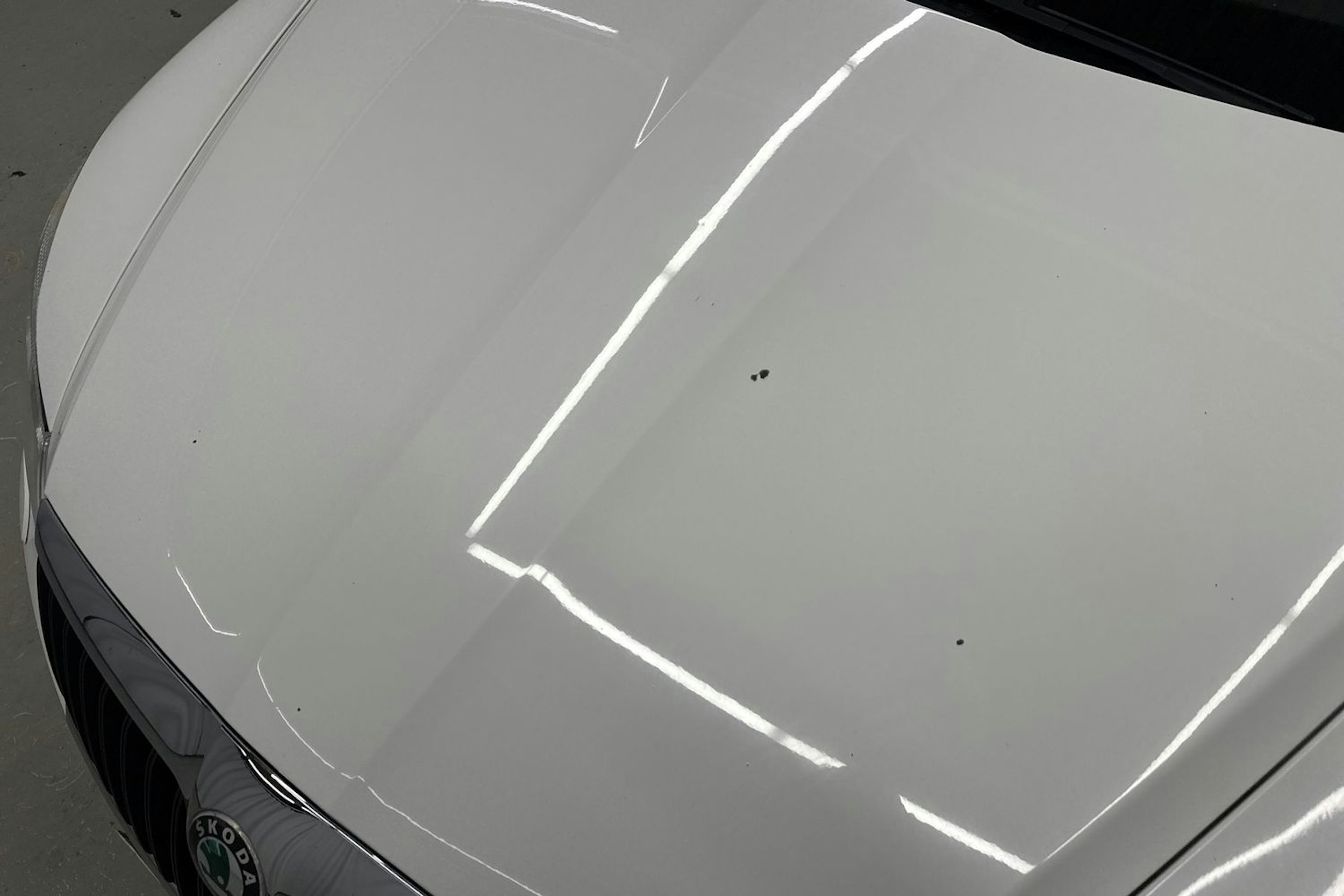 valkoinen Skoda Octavia 2010 kuva 21.