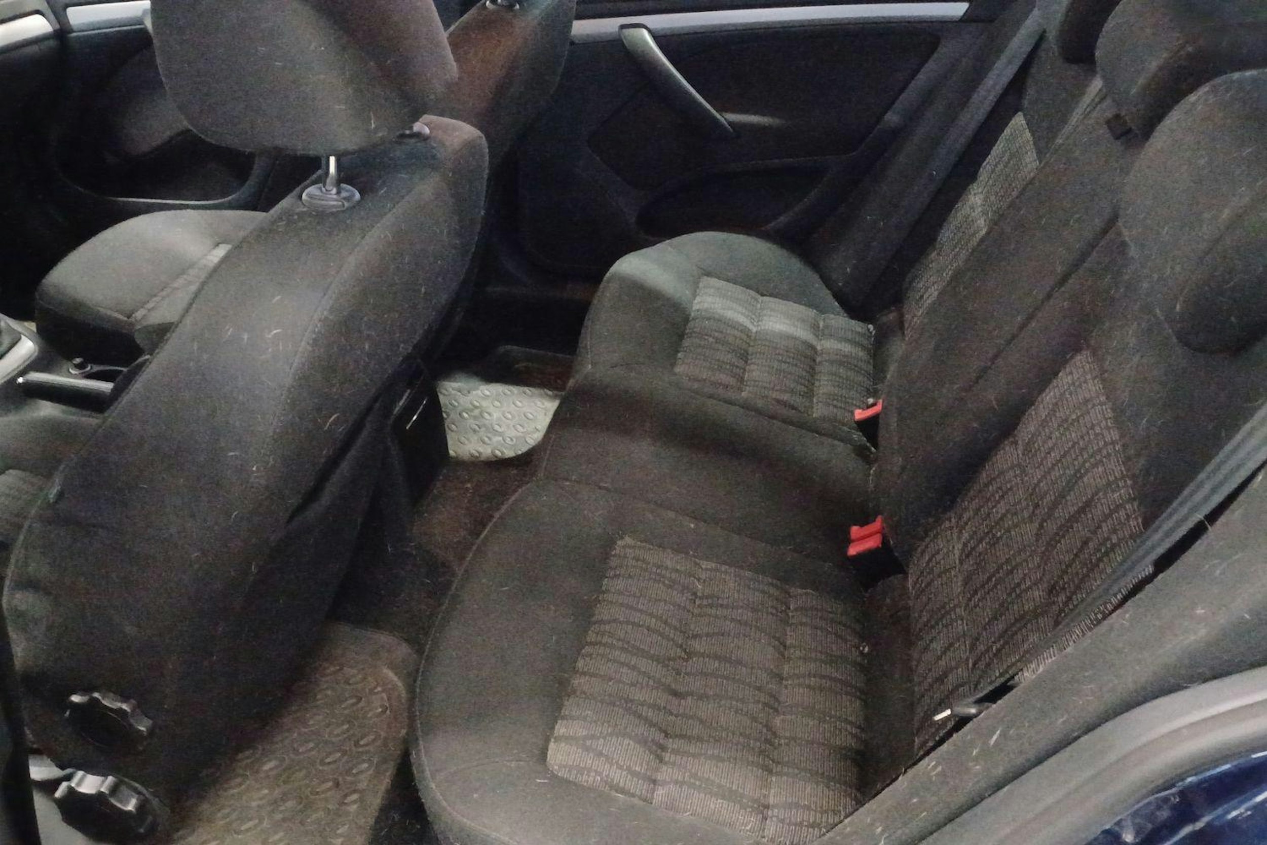 sininen Skoda Octavia 2010 kuva 8.