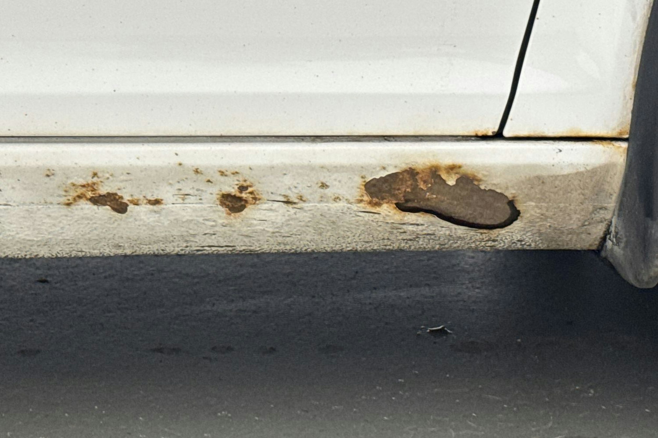 valkoinen Skoda Octavia 2010 kuva 32.