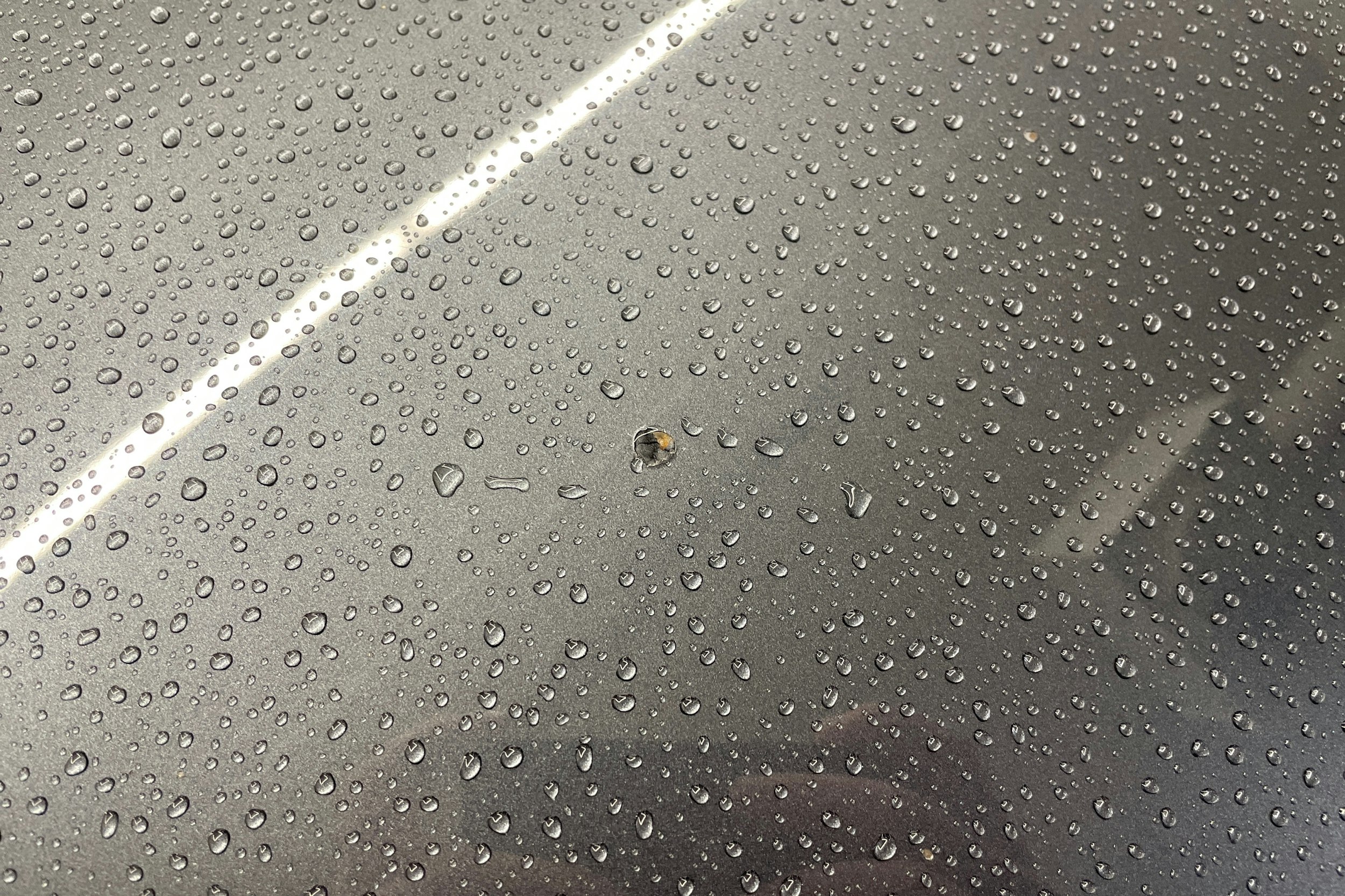 harmaa Skoda Octavia 2011 kuva 18.