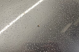 harmaa Skoda Octavia 2011 kuva 18.