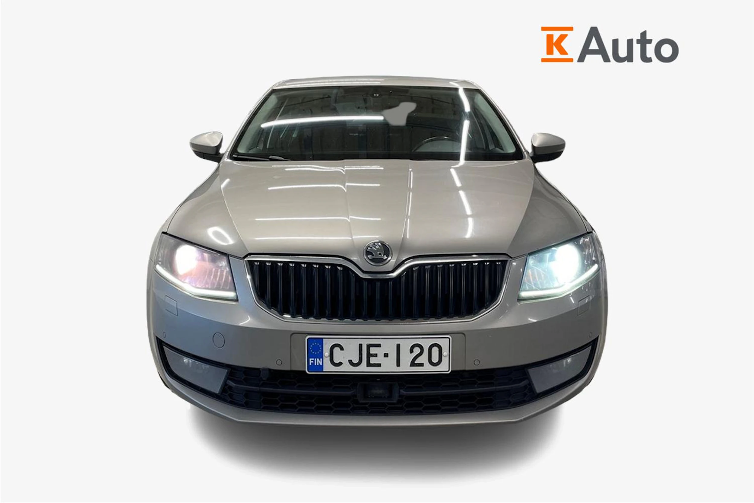 met. Ruskea (beige) Skoda OCTAVIA 2013 kuva 4.