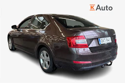 Ruskea (beige) Skoda OCTAVIA 2013 kuva 2.