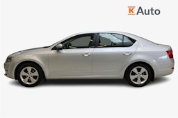 hopea Skoda Octavia 2013 kuva 6.