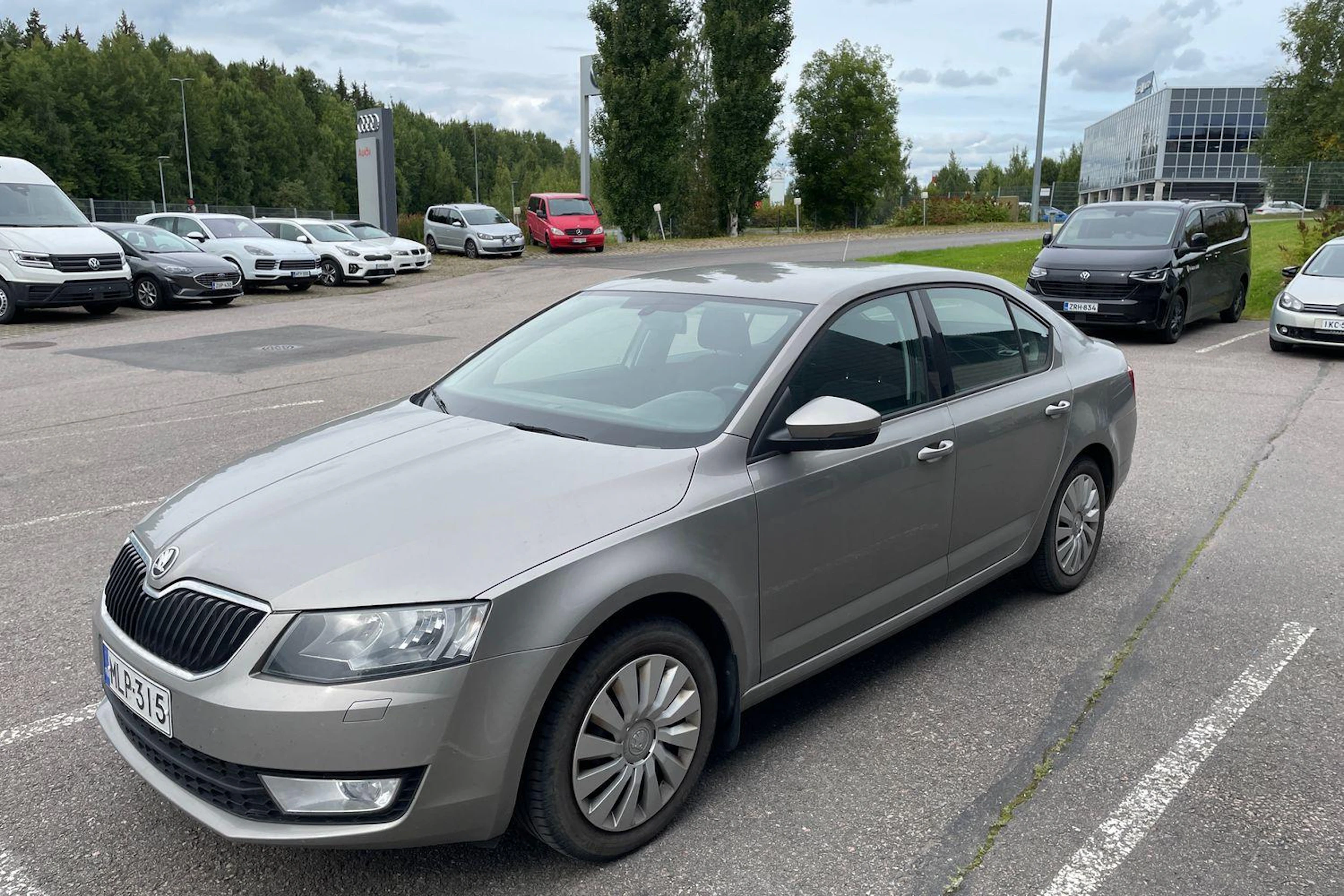 ruskea (beige) Skoda Octavia 2013 kuva 3.