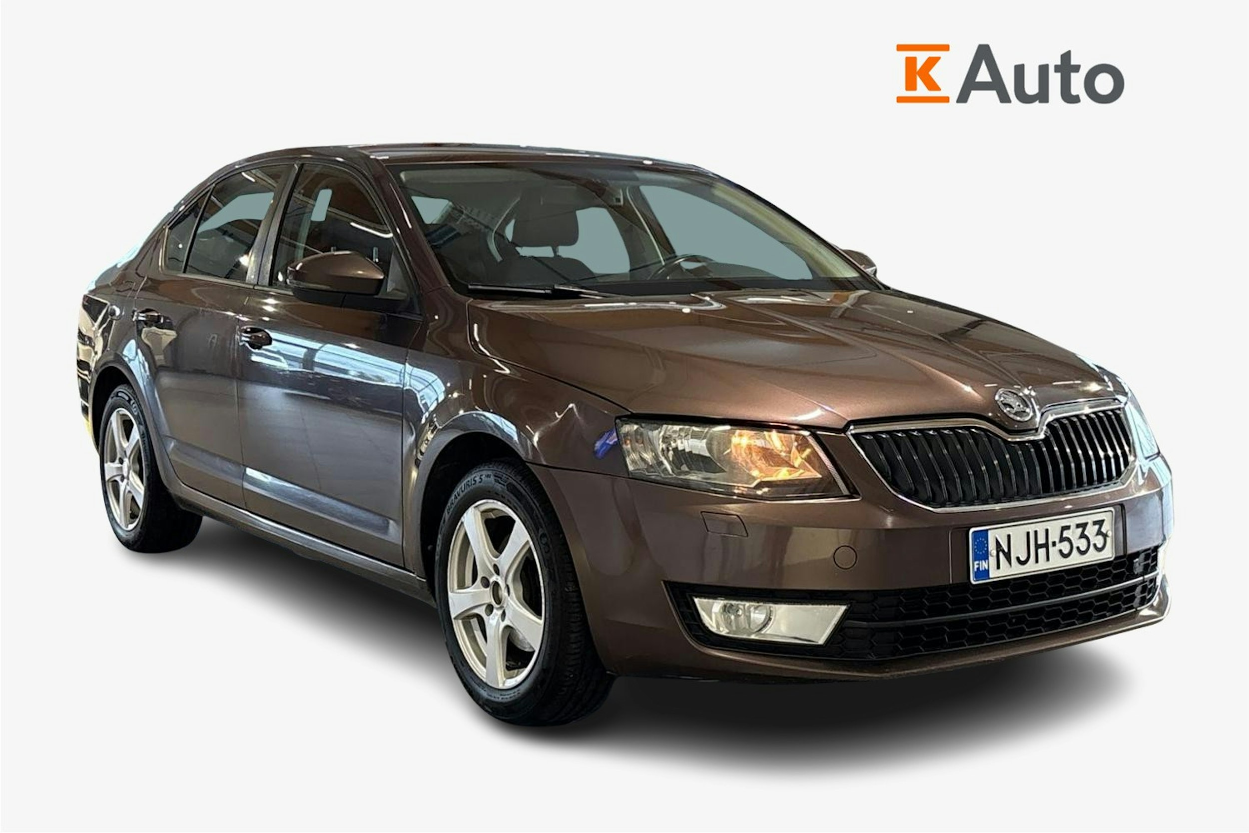 Ruskea (beige) Skoda OCTAVIA 2013 kuva 1.