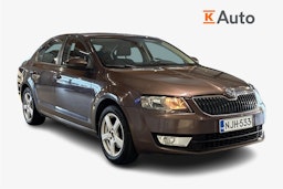 Ruskea (beige) Skoda OCTAVIA 2013 kuva 1.