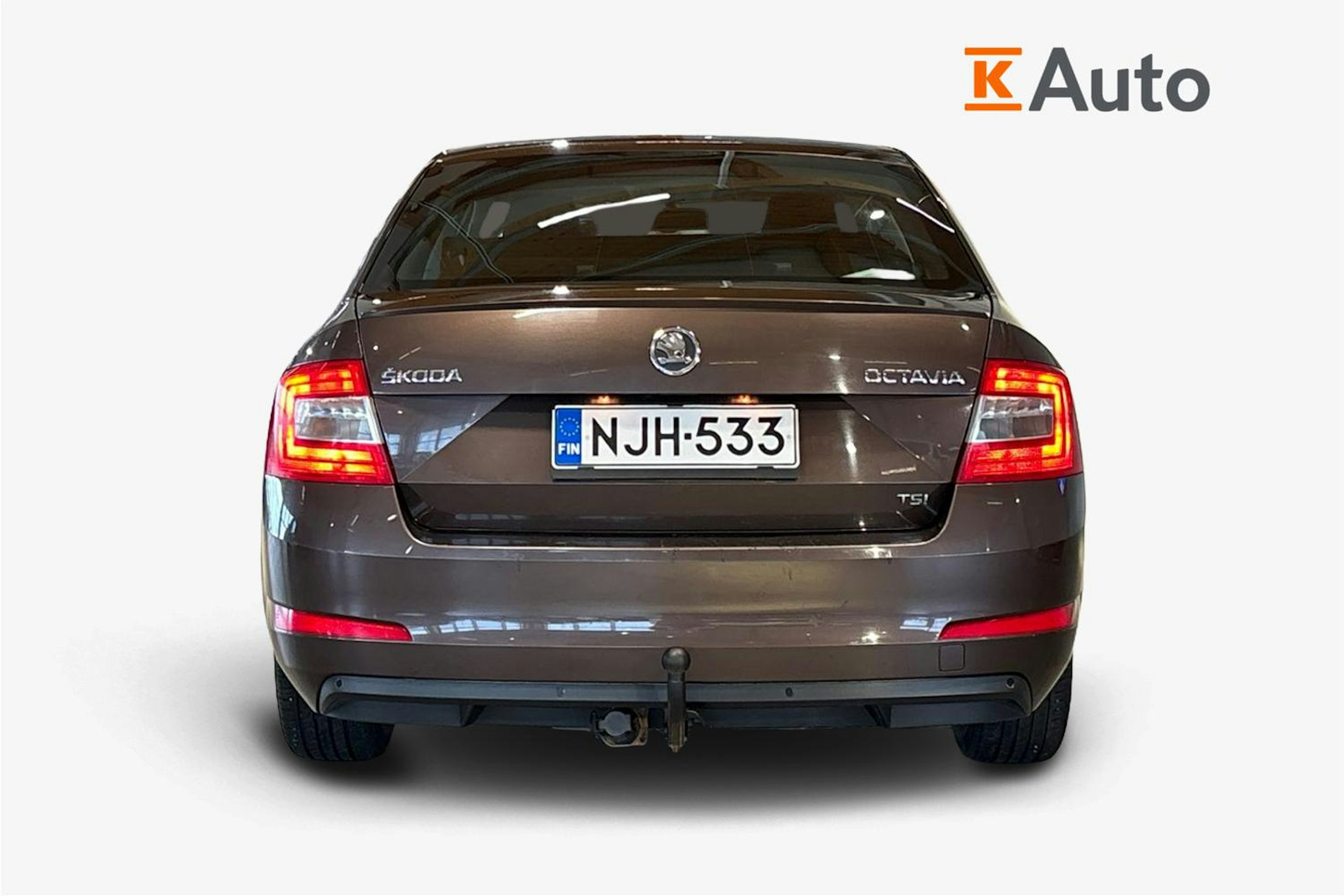 Ruskea (beige) Skoda OCTAVIA 2013 kuva 3.