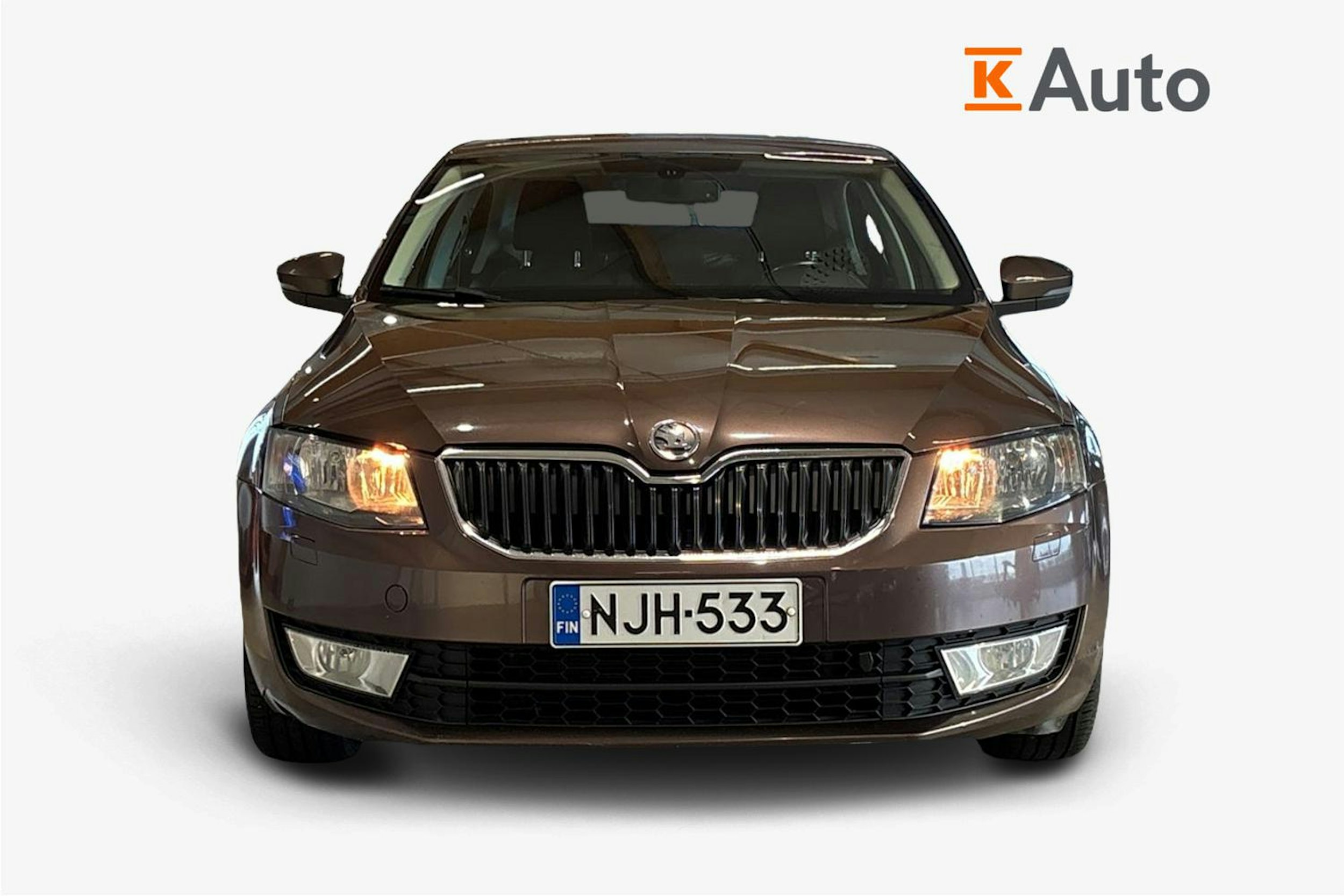 Ruskea (beige) Skoda OCTAVIA 2013 kuva 5.