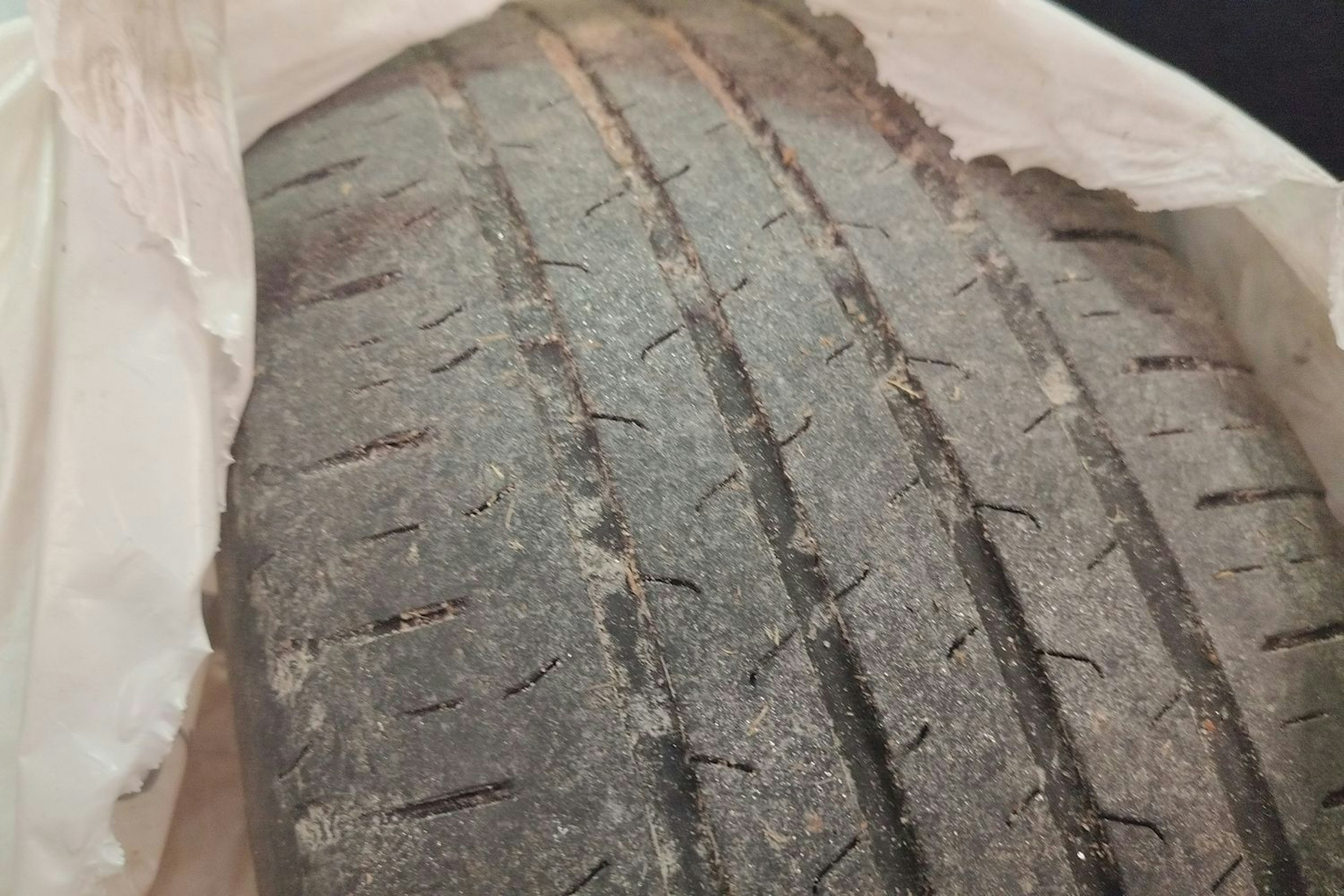 valkoinen Skoda Octavia 2014 kuva 13.