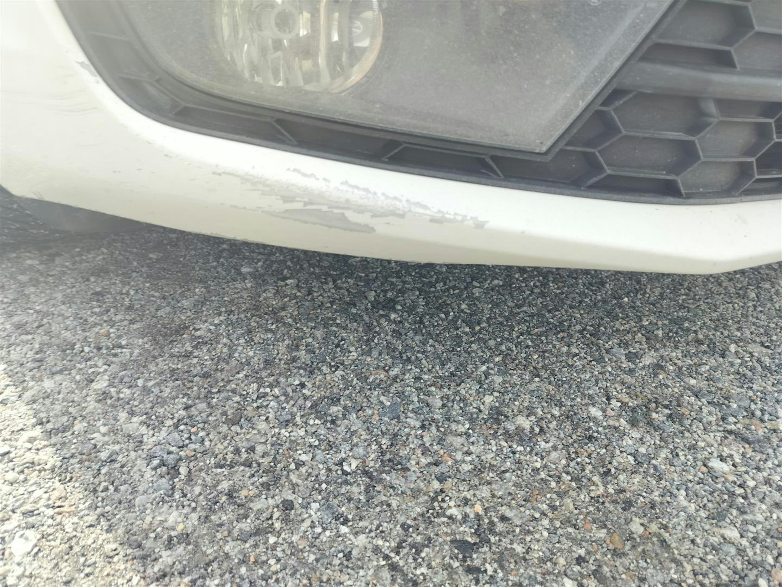 valkoinen Skoda Octavia 2014 kuva 17.