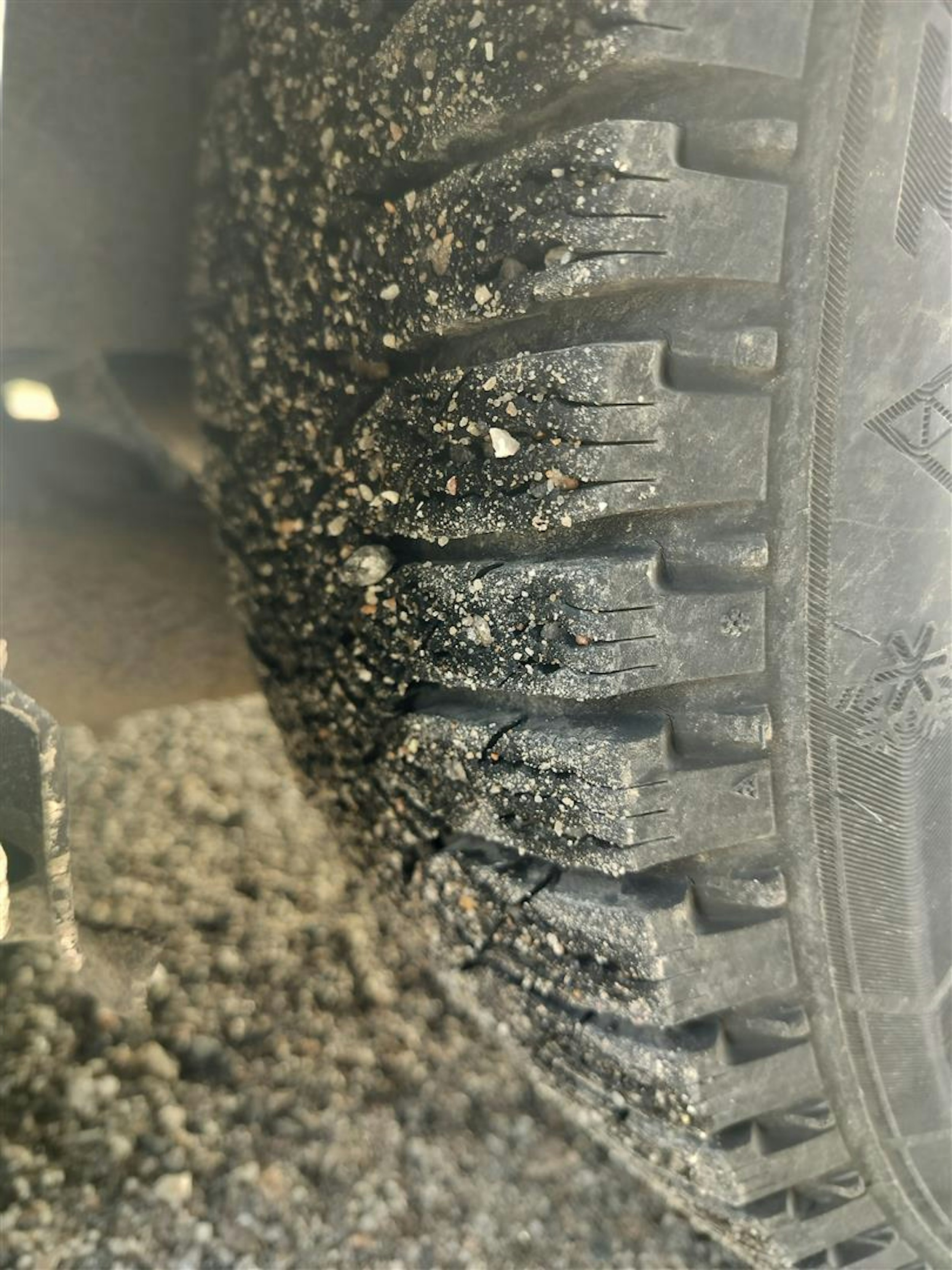 valkoinen Skoda Octavia 2014 kuva 18.