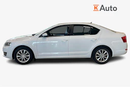 valkoinen Skoda Octavia 2015 kuva 5.
