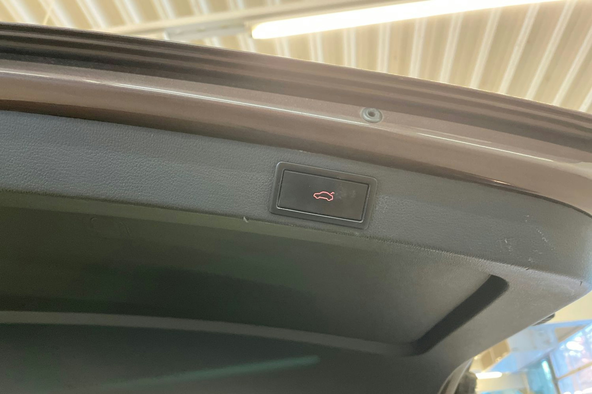 ruskea (beige) Skoda Octavia 2015 kuva 27.