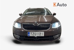 Ruskea (beige) Skoda OCTAVIA 2015 kuva 5.