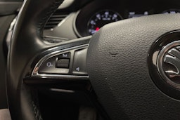 Ruskea (beige) Skoda OCTAVIA 2015 kuva 24.