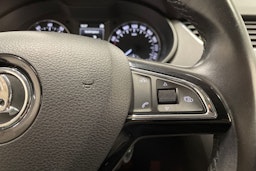 Ruskea (beige) Skoda OCTAVIA 2015 kuva 25.