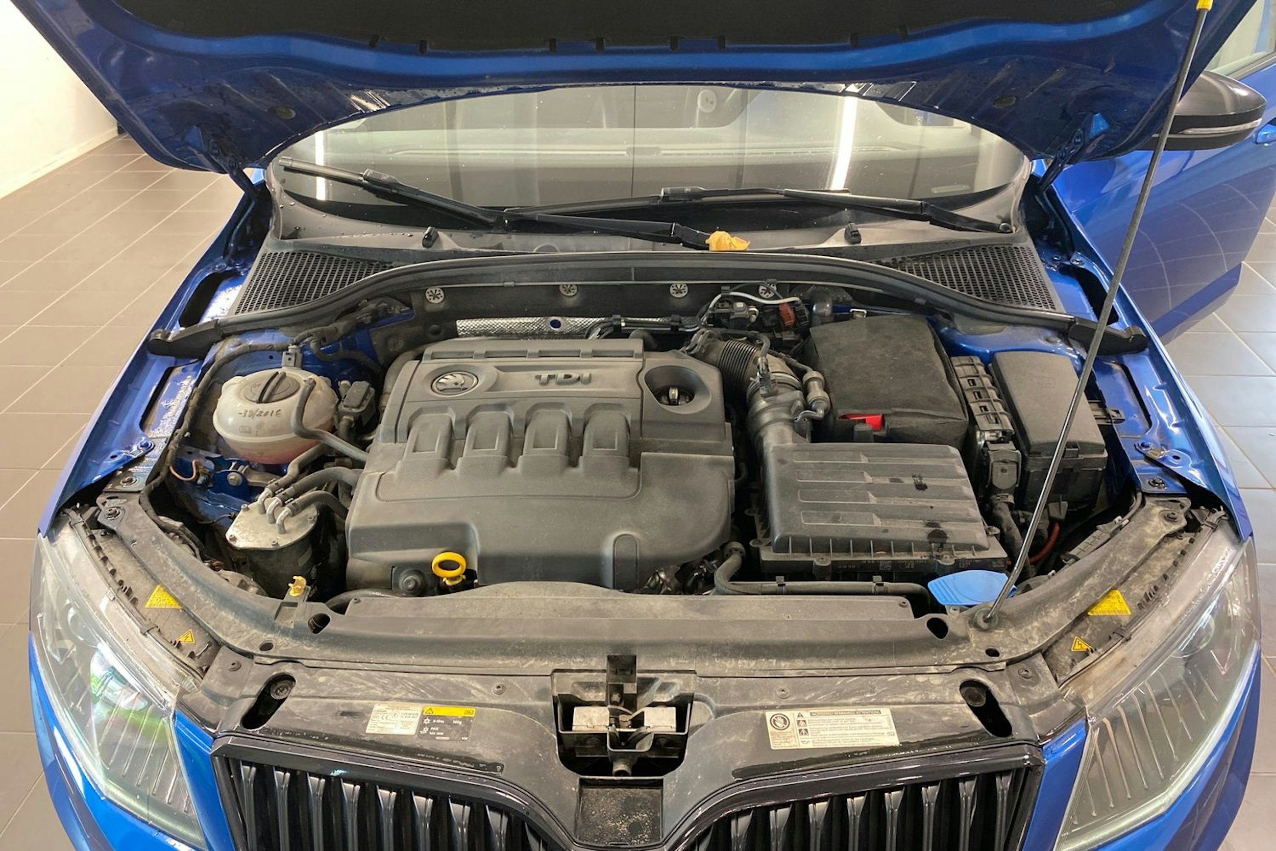 Sininen Skoda OCTAVIA 2016 kuva 12.