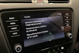 Ruskea (beige) Skoda OCTAVIA 2018 kuva 28.