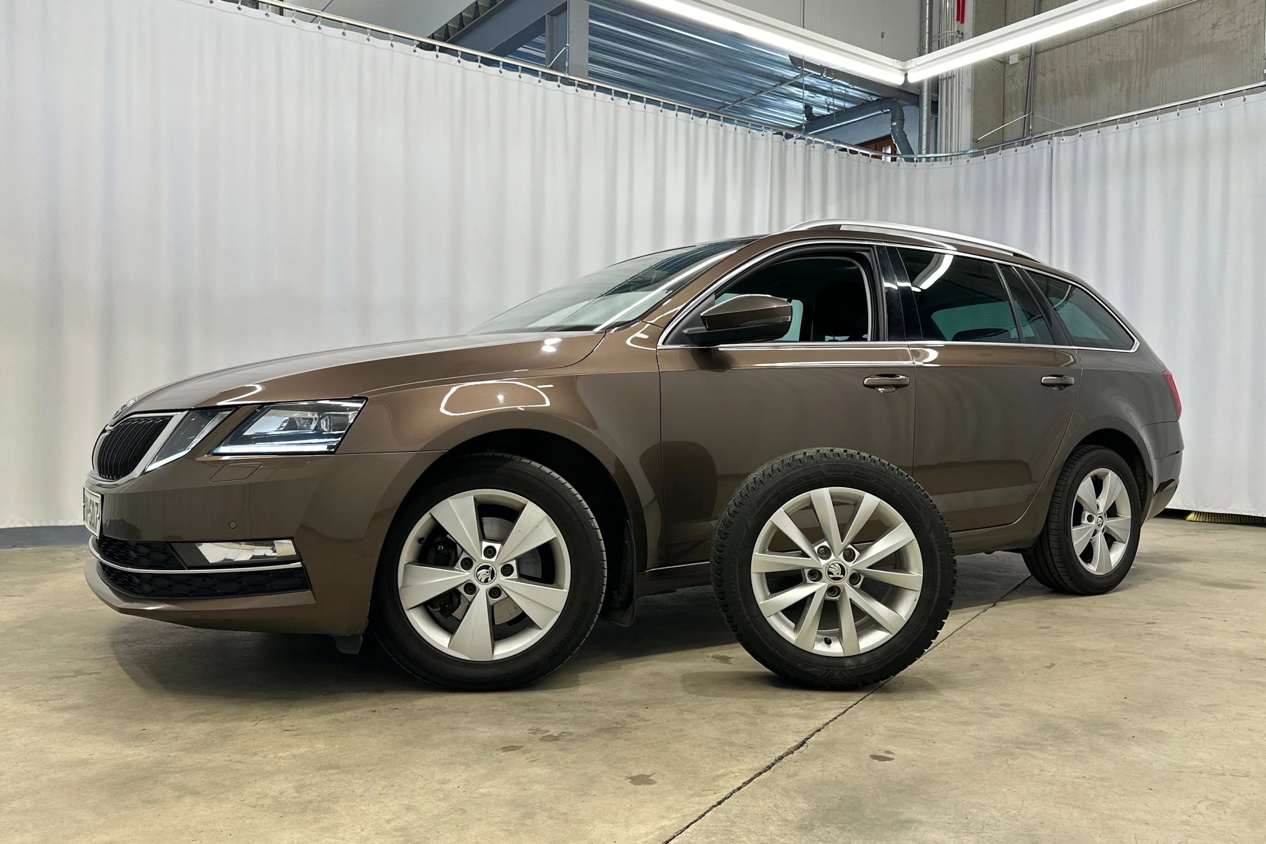 ruskea (beige) Skoda Octavia 2019 kuva 29.