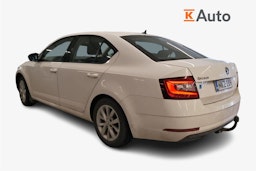 valkoinen Skoda Octavia 2018 kuva 2.