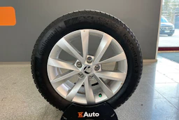 ruskea (beige) Skoda Octavia 2018 kuva 13.