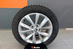 Ruskea (beige) Skoda OCTAVIA 2019 kuva 10.