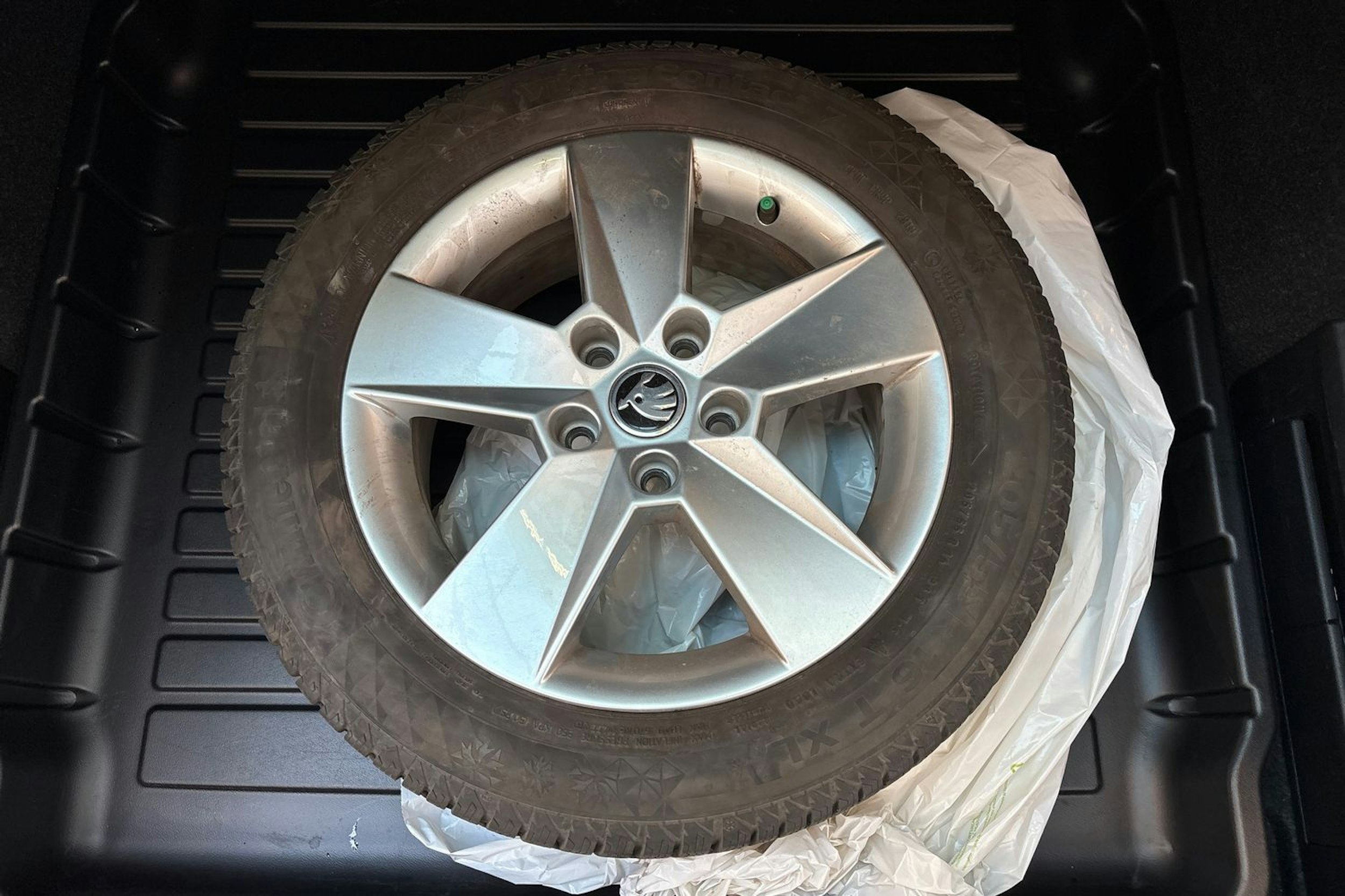 ruskea (beige) Skoda Octavia 2019 kuva 12.