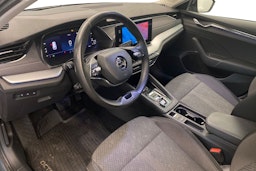 Harmaa Skoda OCTAVIA 2021 kuva 7.