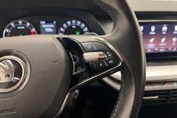 Hopea Skoda OCTAVIA 2021 kuva 18.