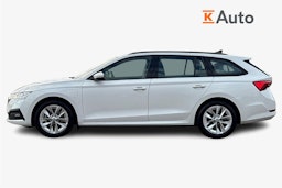 valkoinen Skoda Octavia 2024 kuva 6.