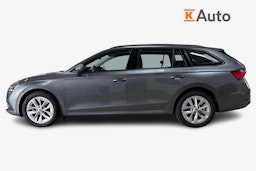 harmaa Skoda Octavia 2024 kuva 6.