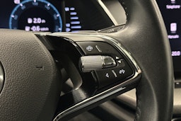 valkoinen Skoda Octavia 2024 kuva 15.