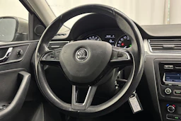 ruskea (beige) Skoda Rapid 2014 kuva 12.