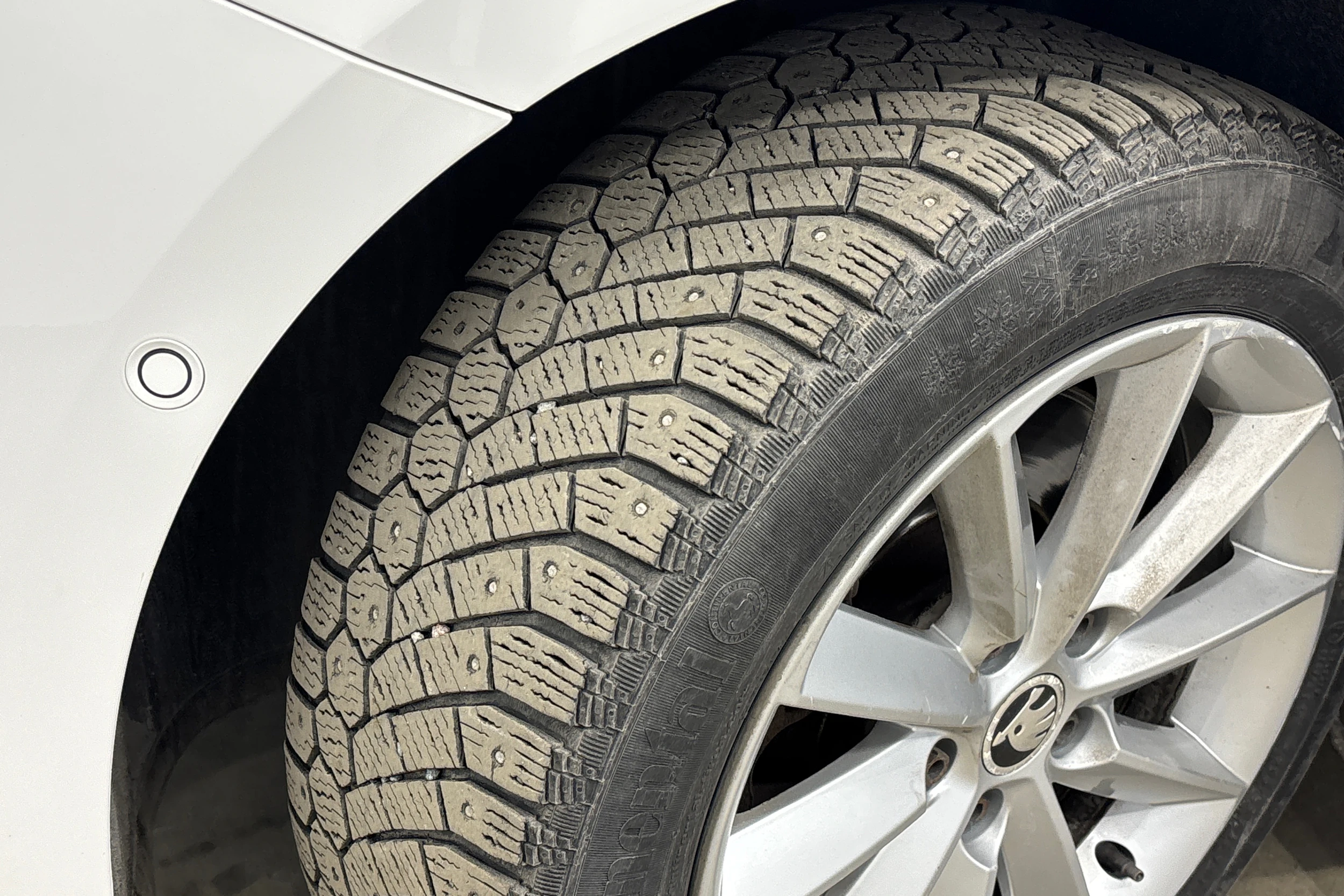 valkoinen Skoda Superb 2015 kuva 26.