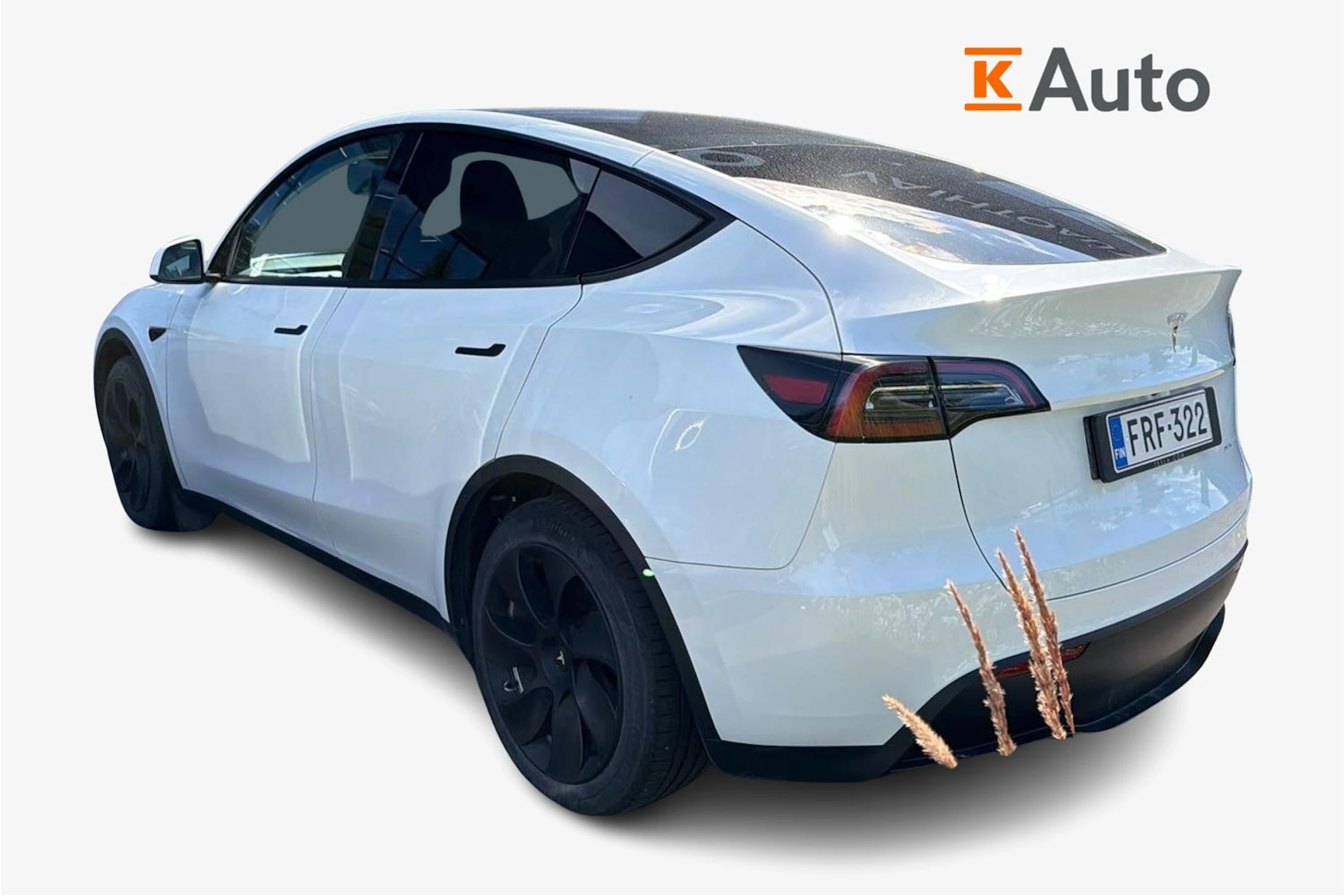 valkoinen Tesla Model Y 2023 kuva 2.