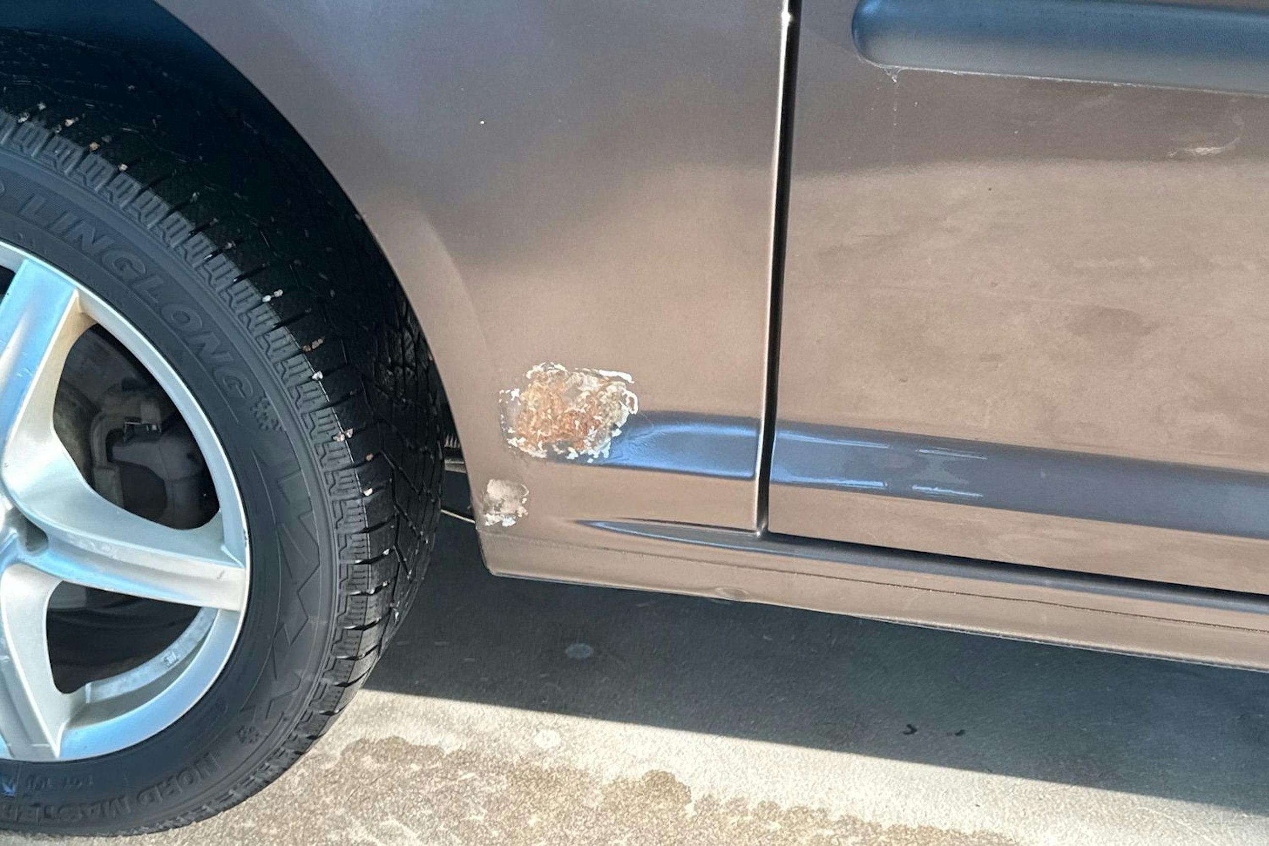 Ruskea (beige) Volkswagen Caddy Maxi 2012 kuva 32.