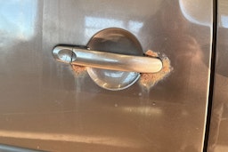 Ruskea (beige) Volkswagen Caddy Maxi 2012 kuva 33.